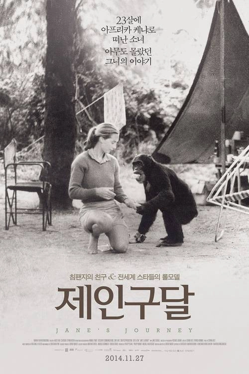Jane's Journey