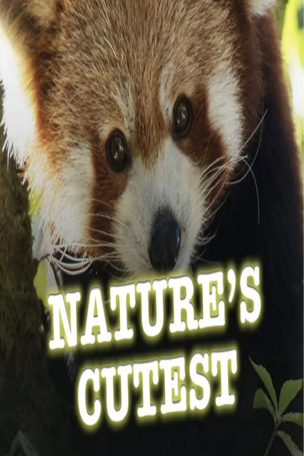 Nature's Cutest