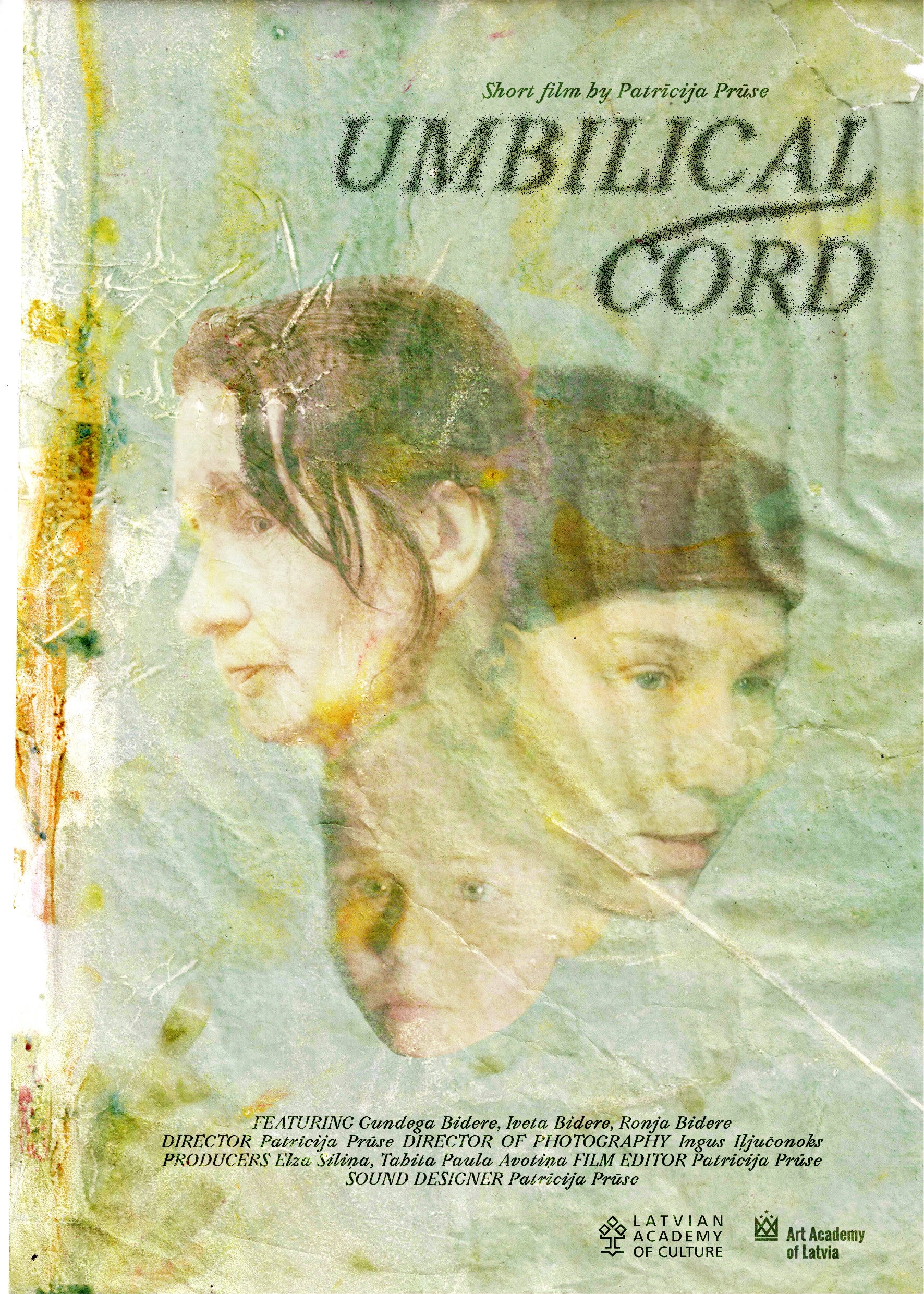 Umbilical Cord