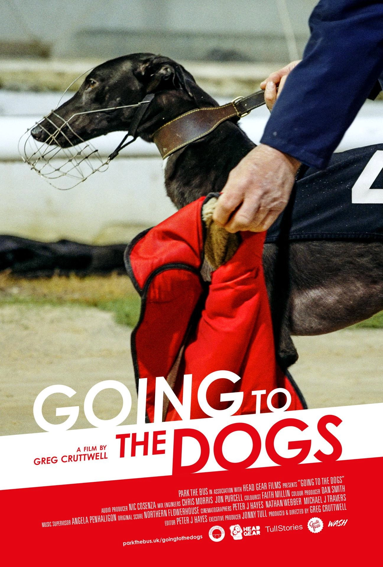 Going to the Dogs