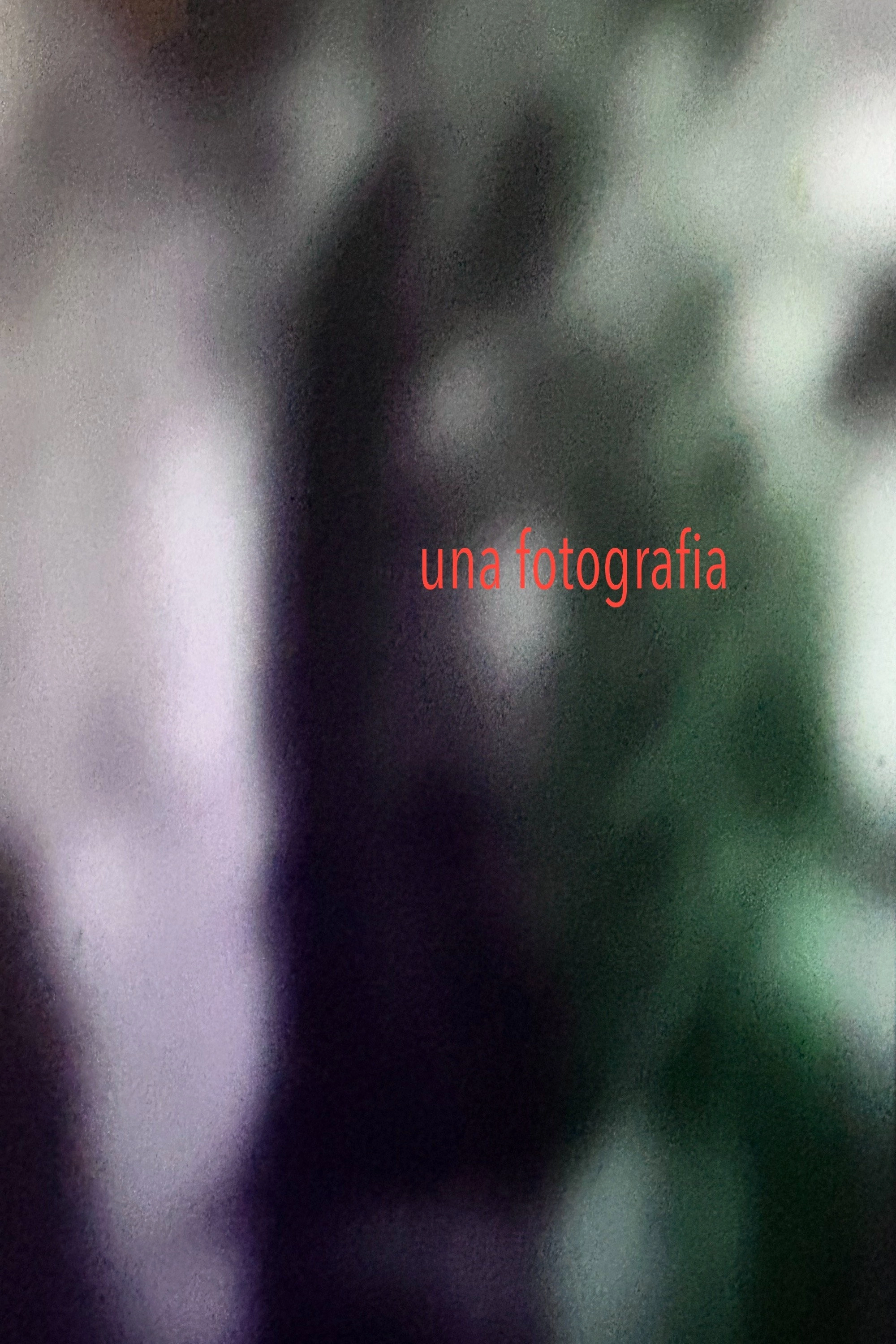 una fotografia