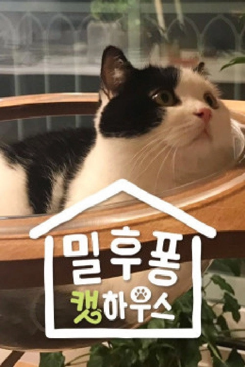 밀후퐁콘 캣하우스