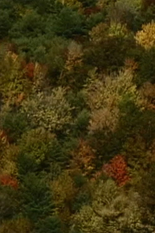 Color Study