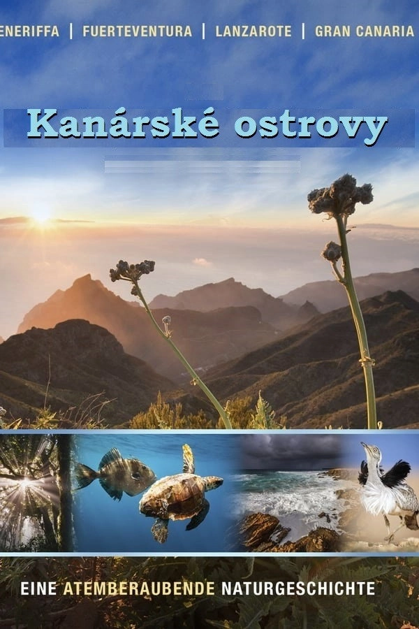Die Kanarischen Inseln