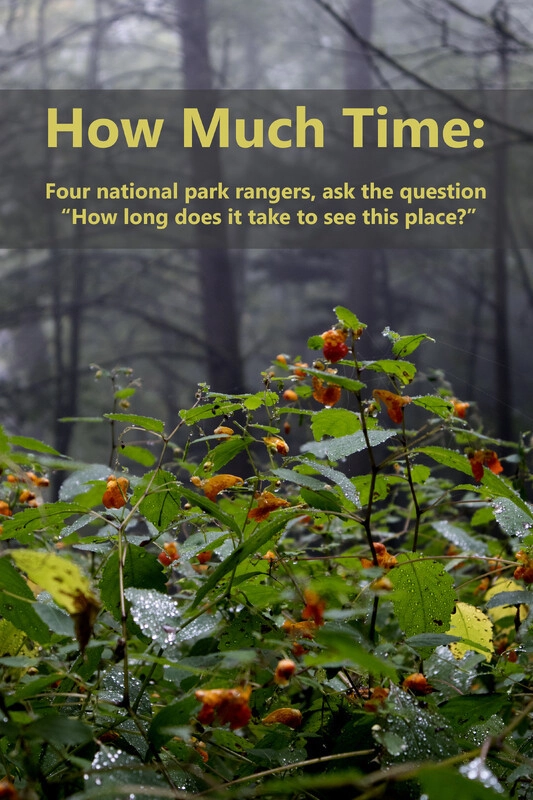 How Much Time
