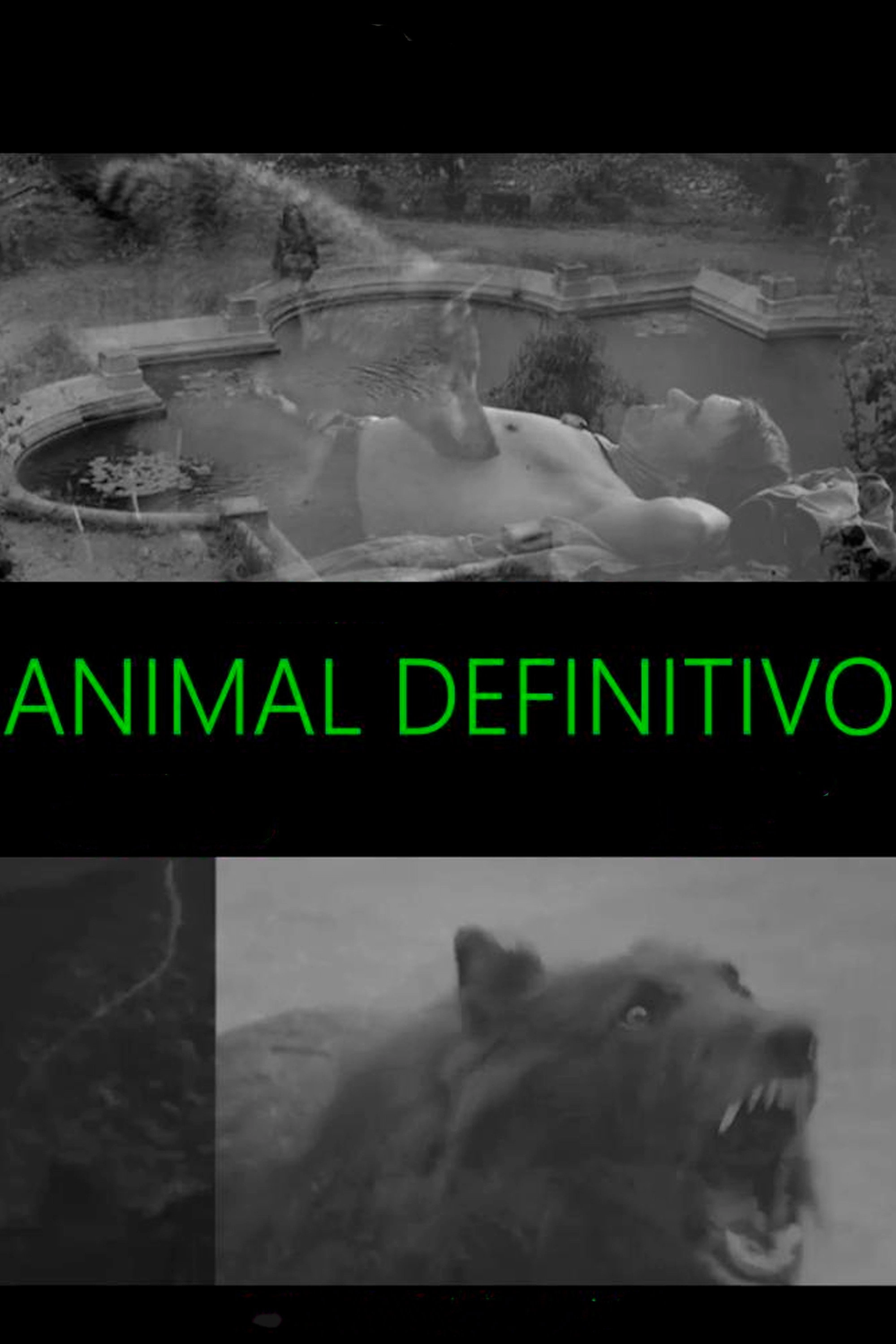 Animal Definitivo