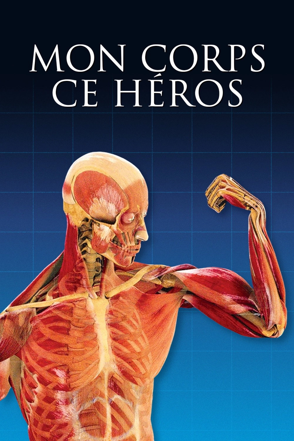 Human Body: Pushing the Limits