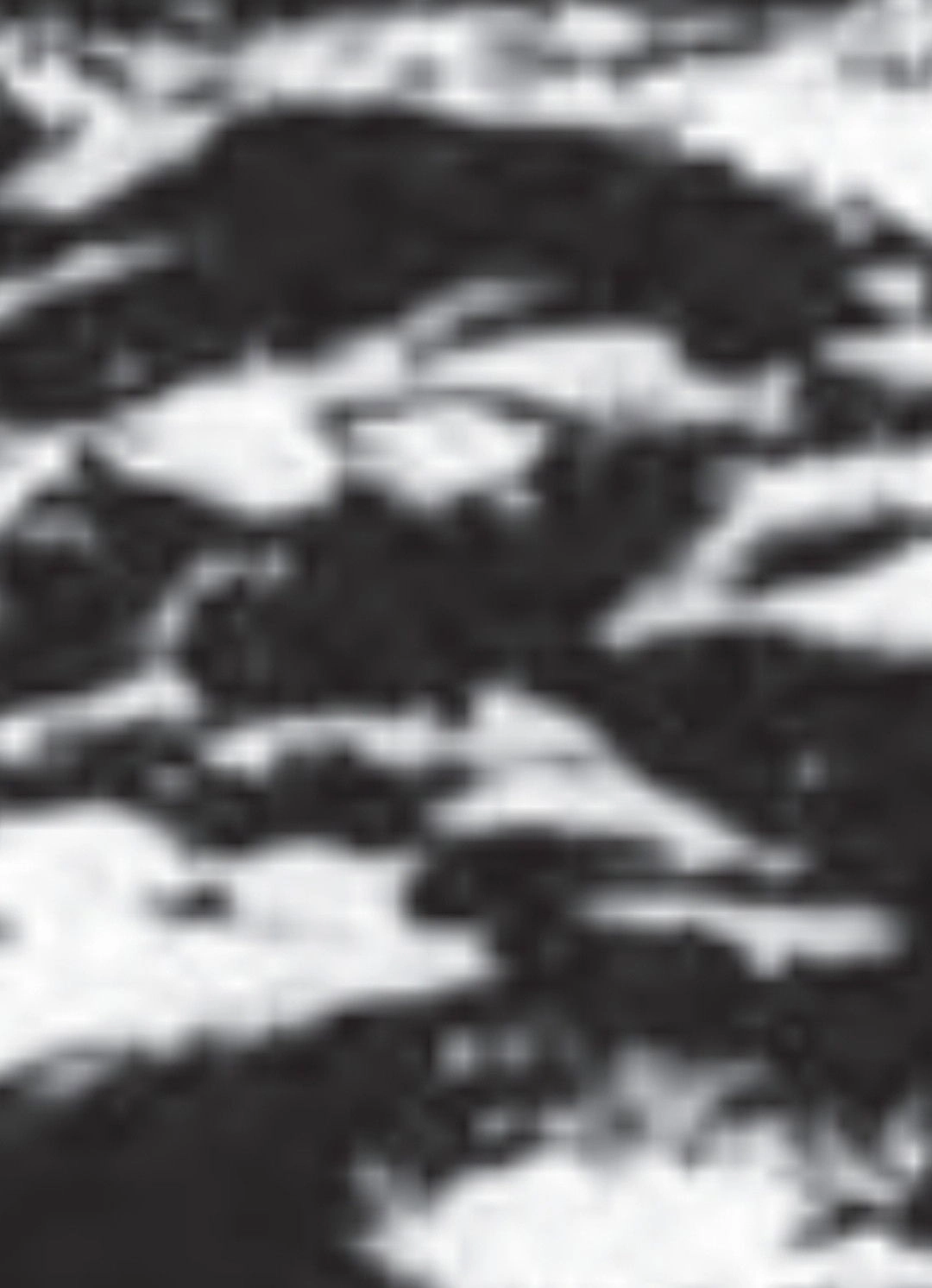 Burren