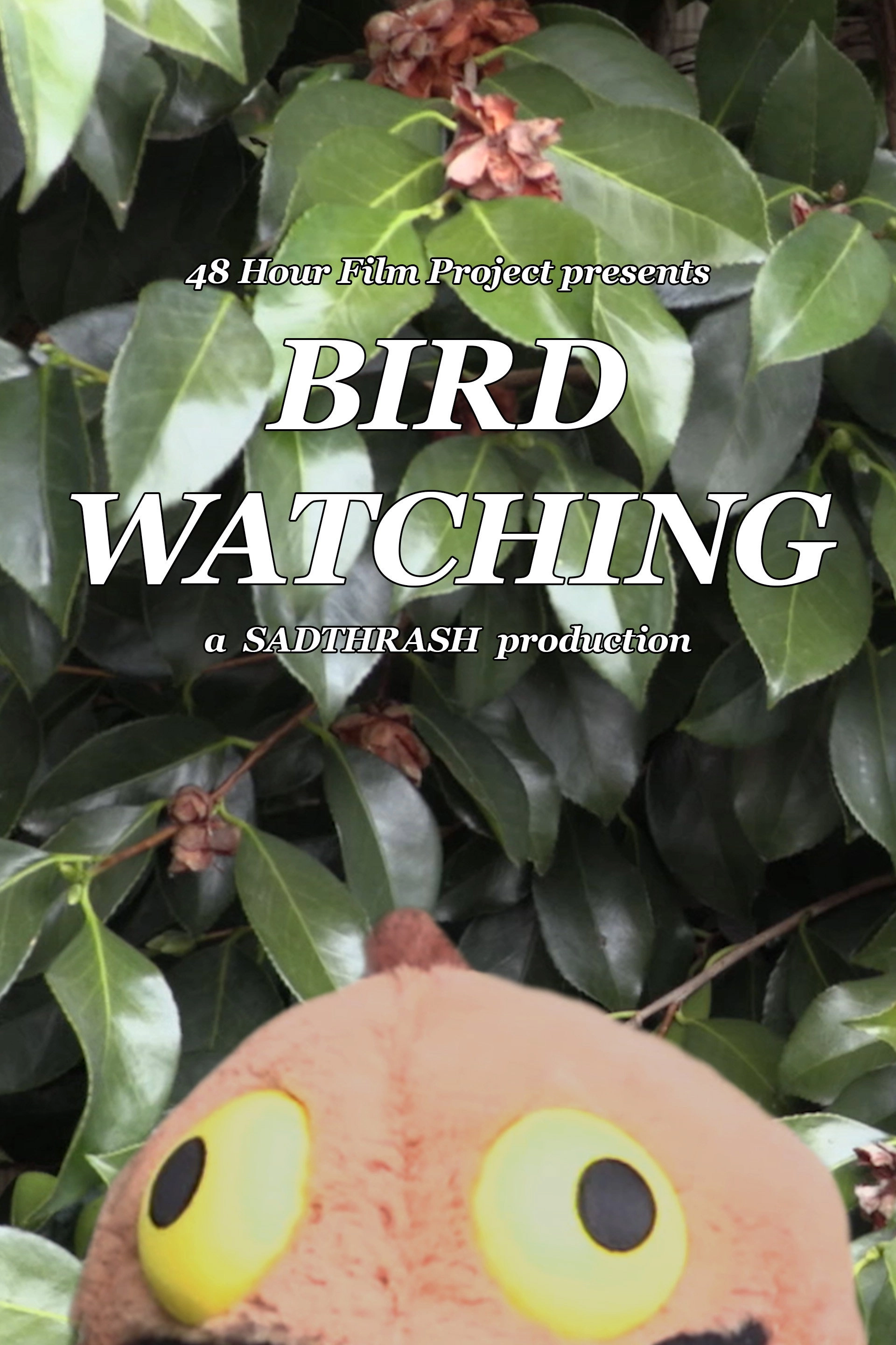 Birdwatching