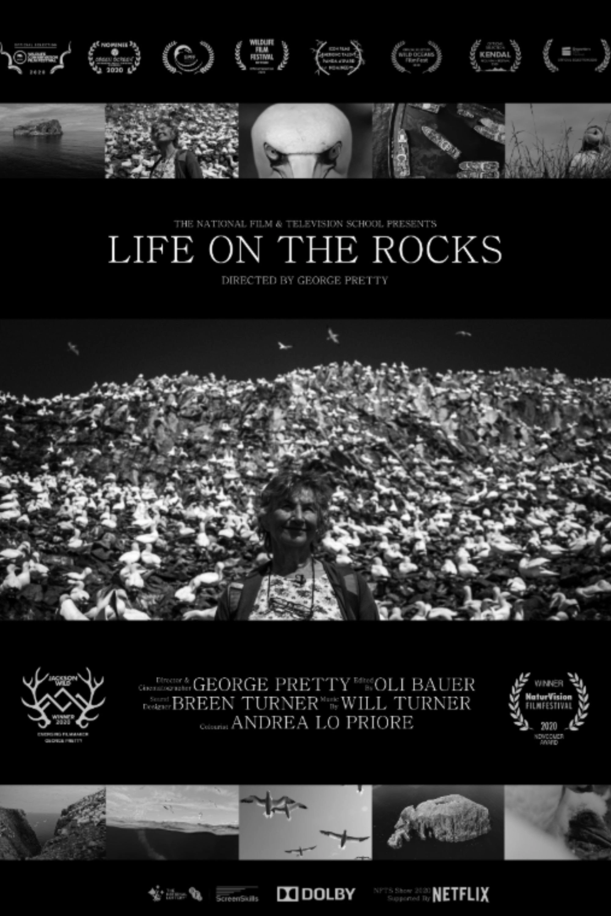 Life on the Rocks