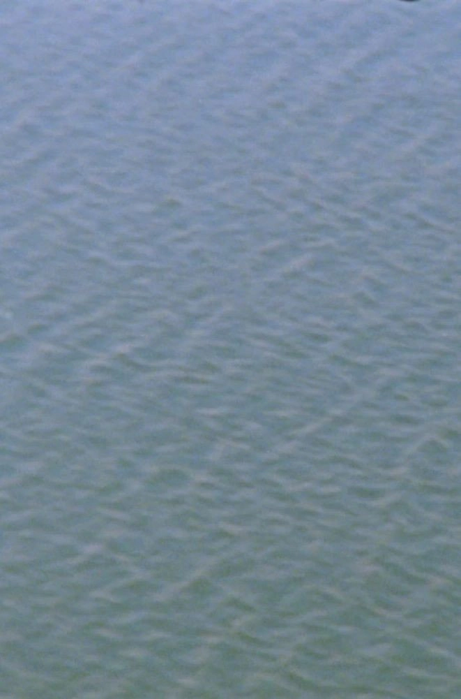 Upstream (into America)