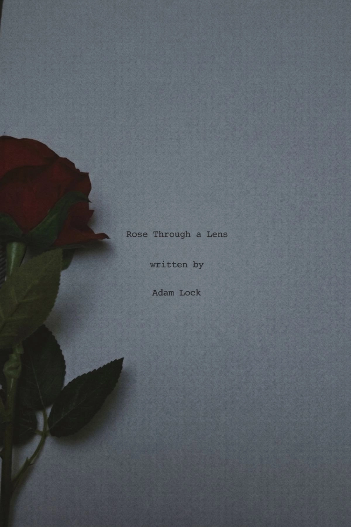 Rose Through A Lens