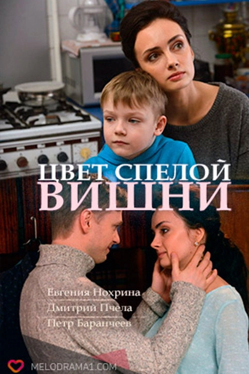 Цвет спелой вишни