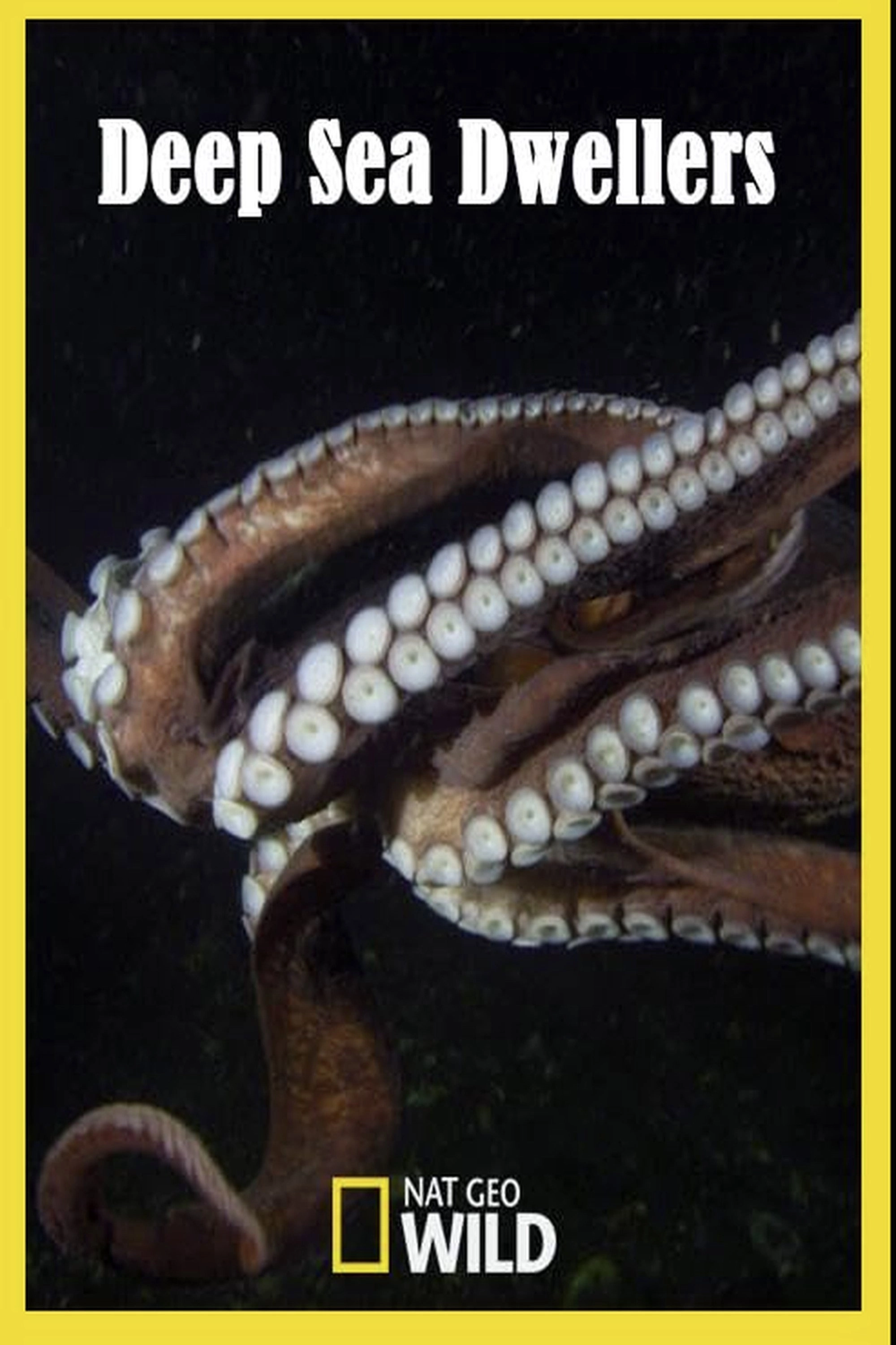 Deep Sea Dwellers