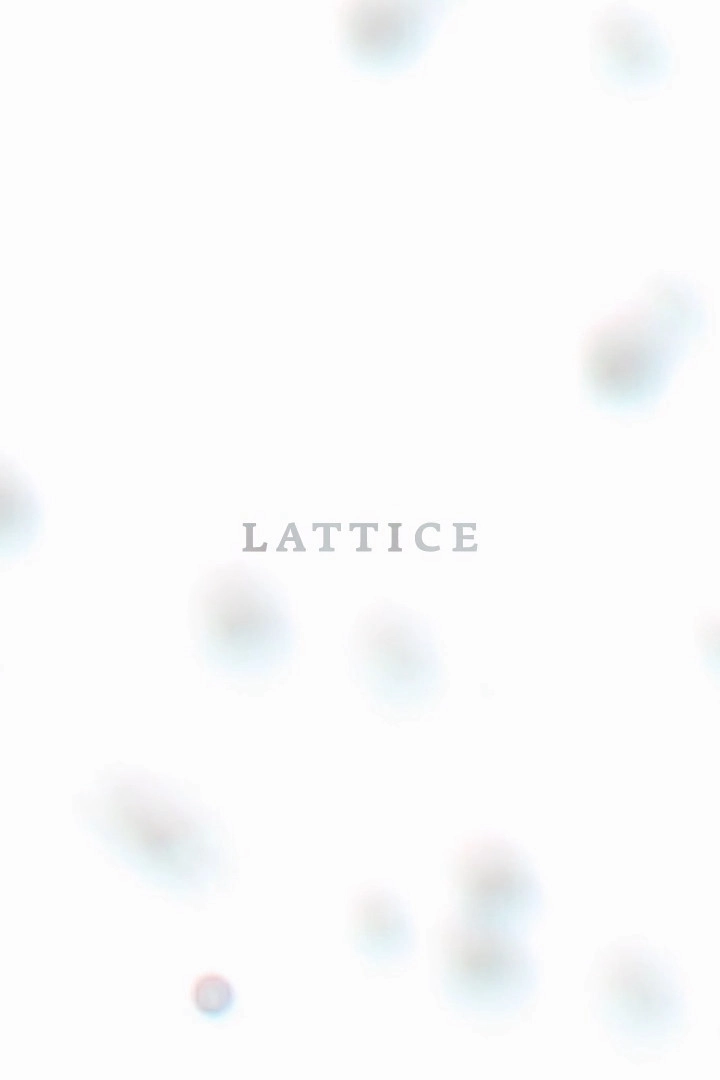 Lattice