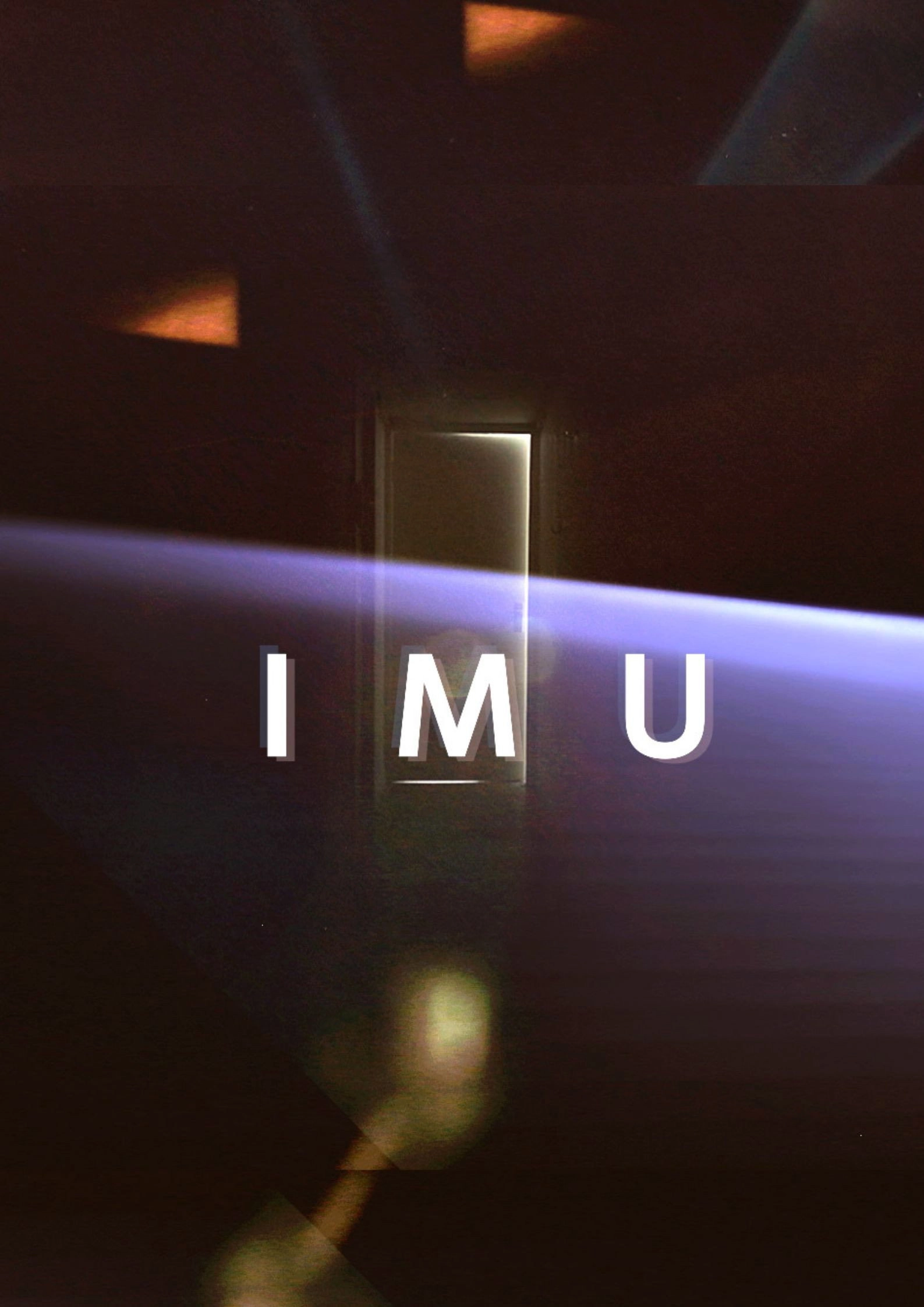 I M U