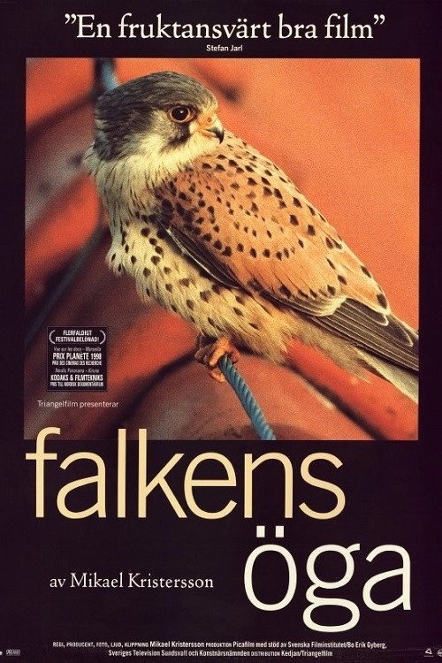 Kestrel's Eye