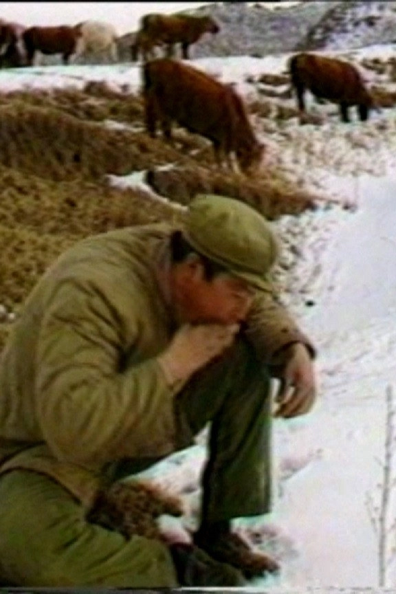 The Cattle Herdsman