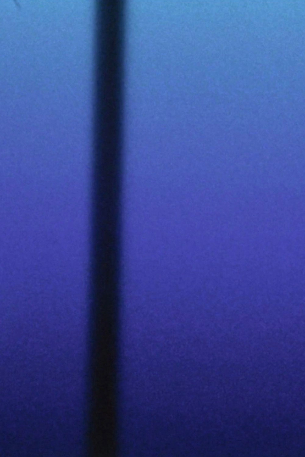 THE MEDICATION (ON BLUE)