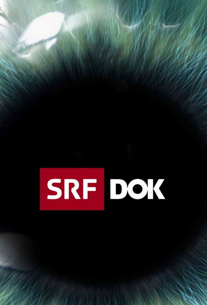 SRF DOK