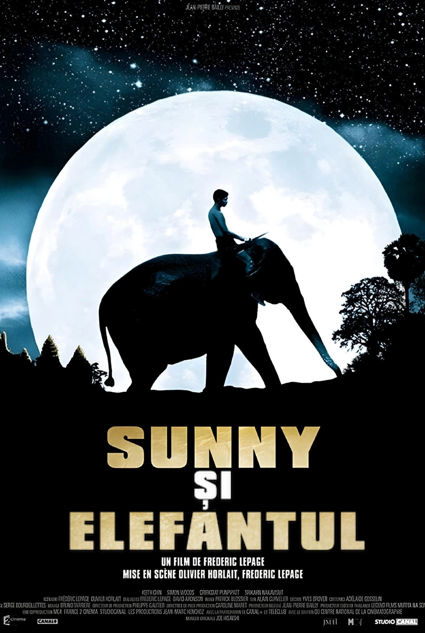 Sunny and the Elephant