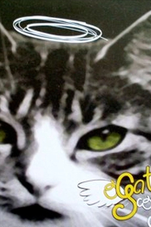 O Gato Como Ele é