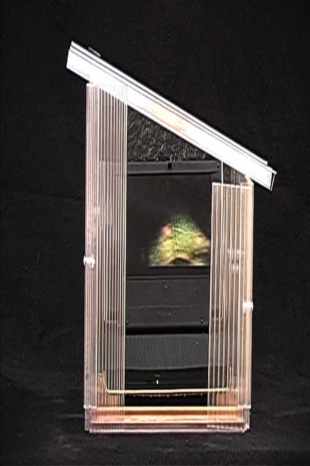 Luminous Greenhouse