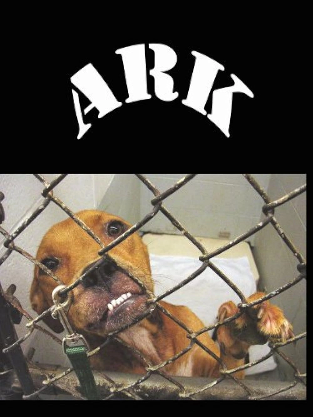 Animal Rescue Katrina