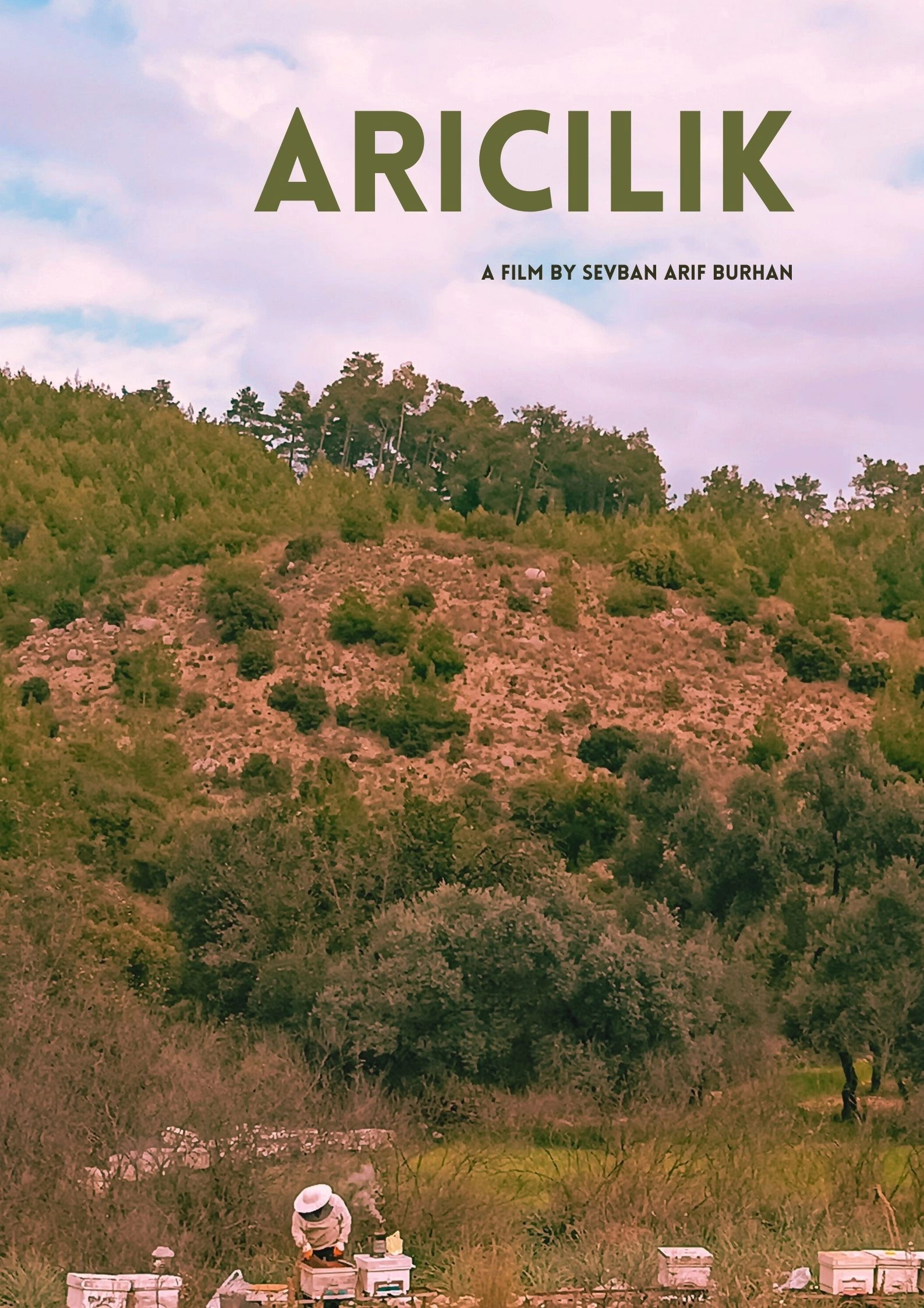 Arıcılık