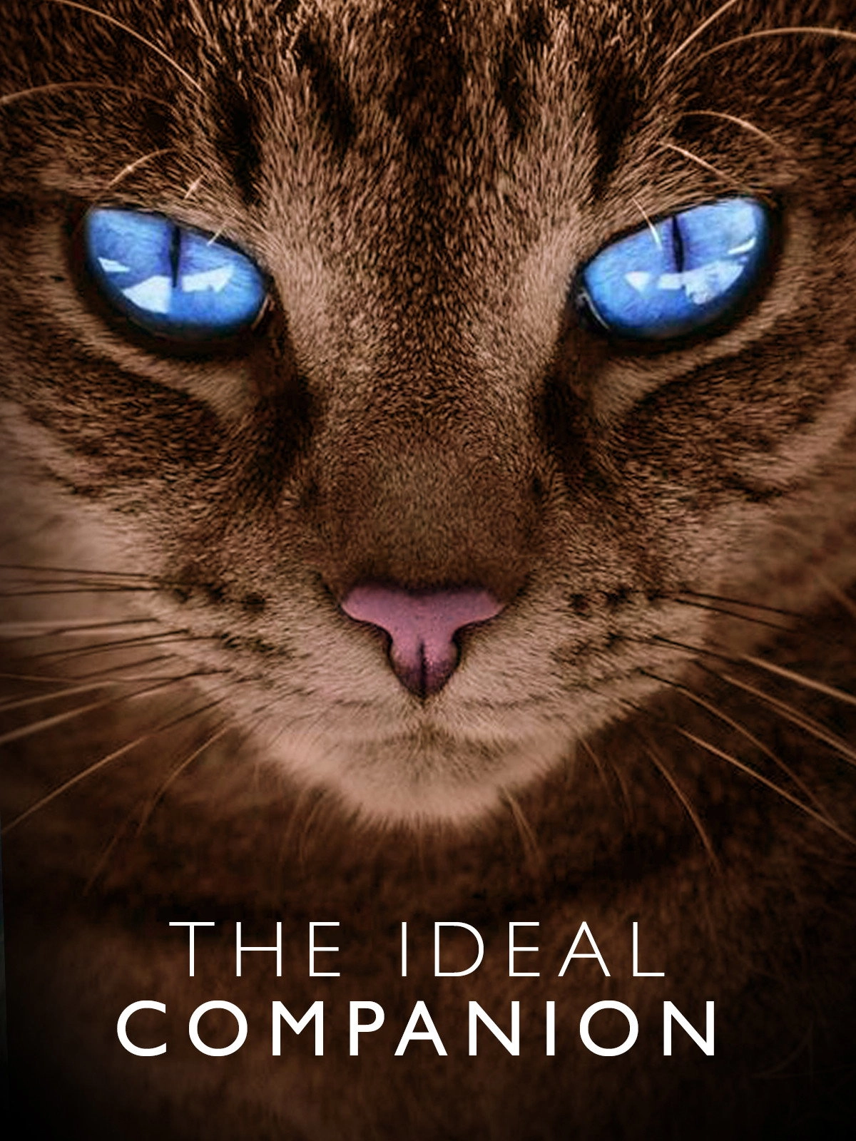 The Ideal Companion