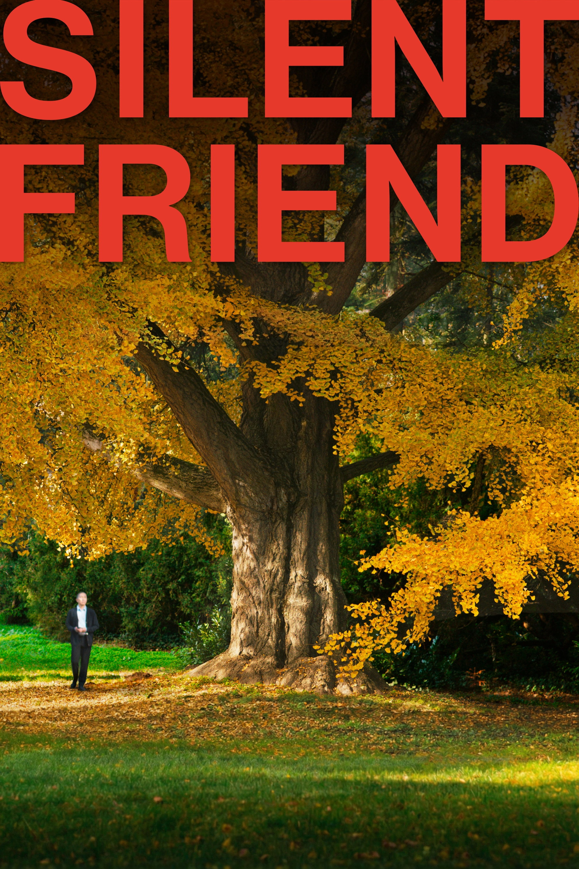 Silent Friend