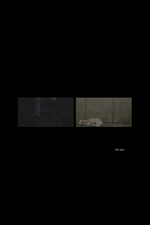 Ikke-dager
