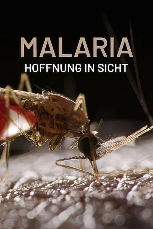 Malaria, Hoffnung in Sicht