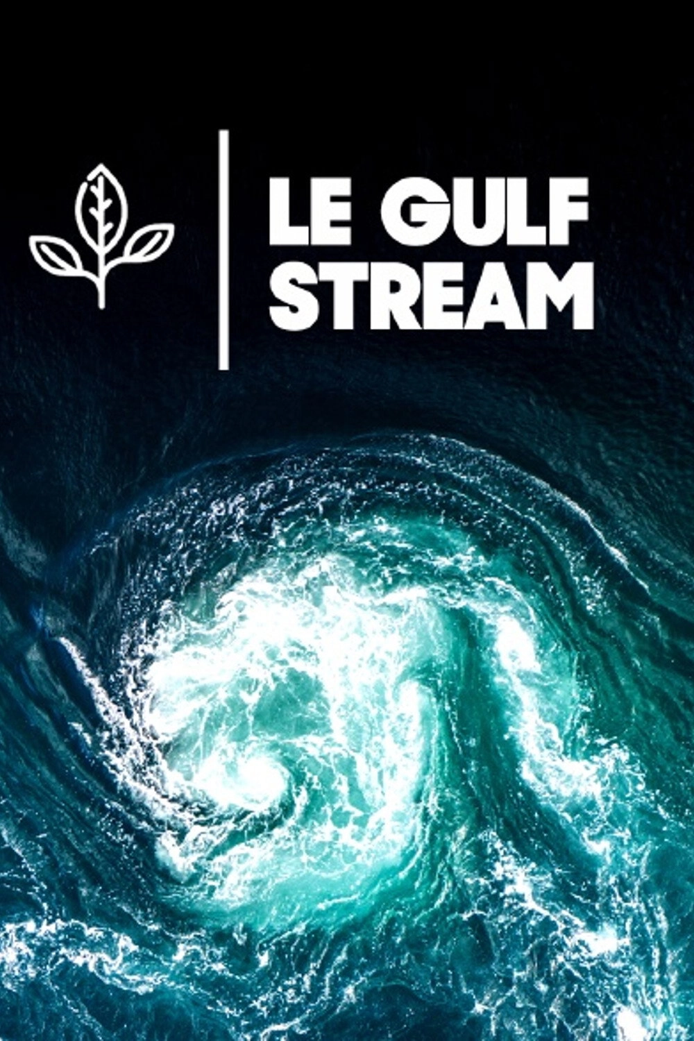 Le Gulf Stream