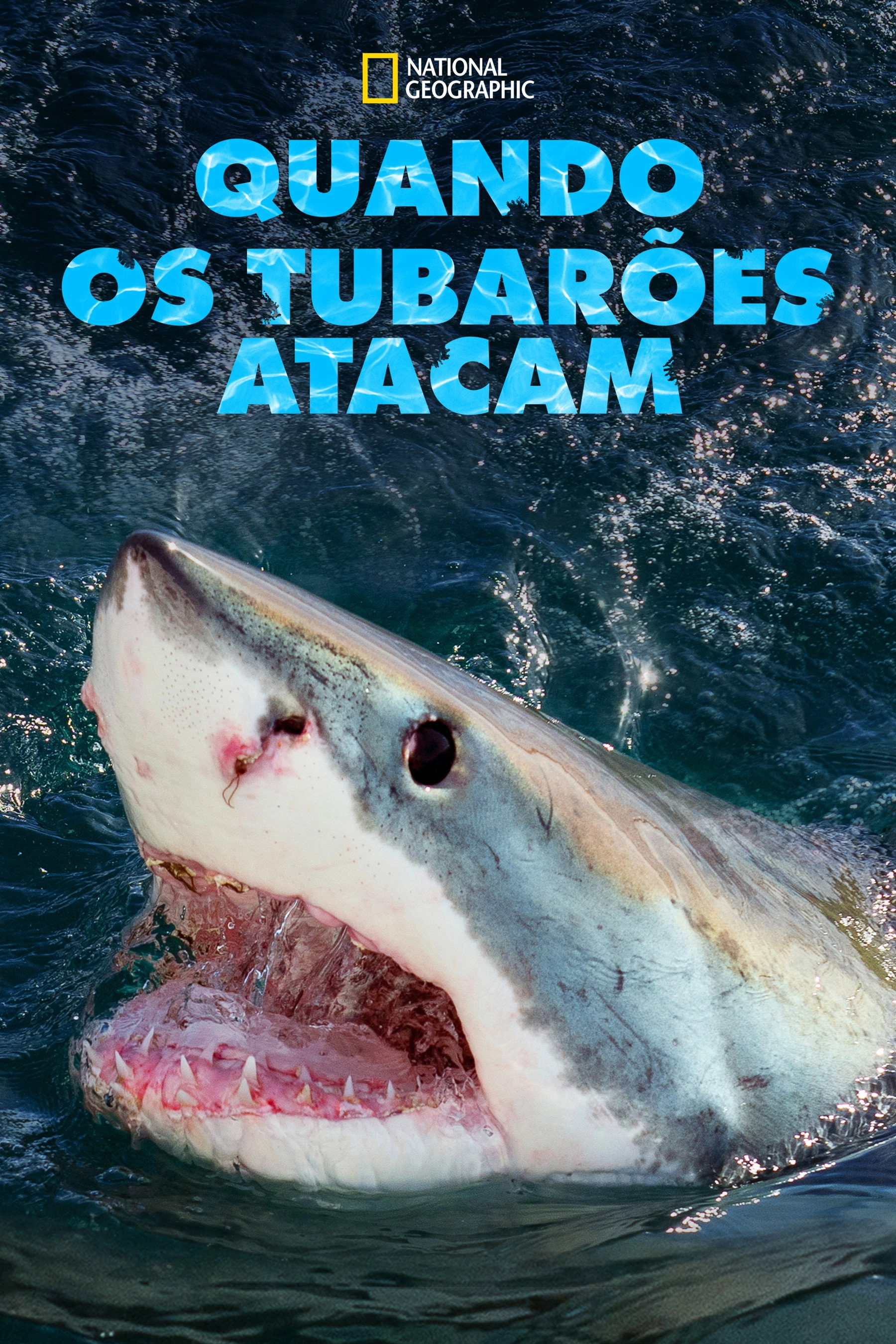 When Sharks Attack