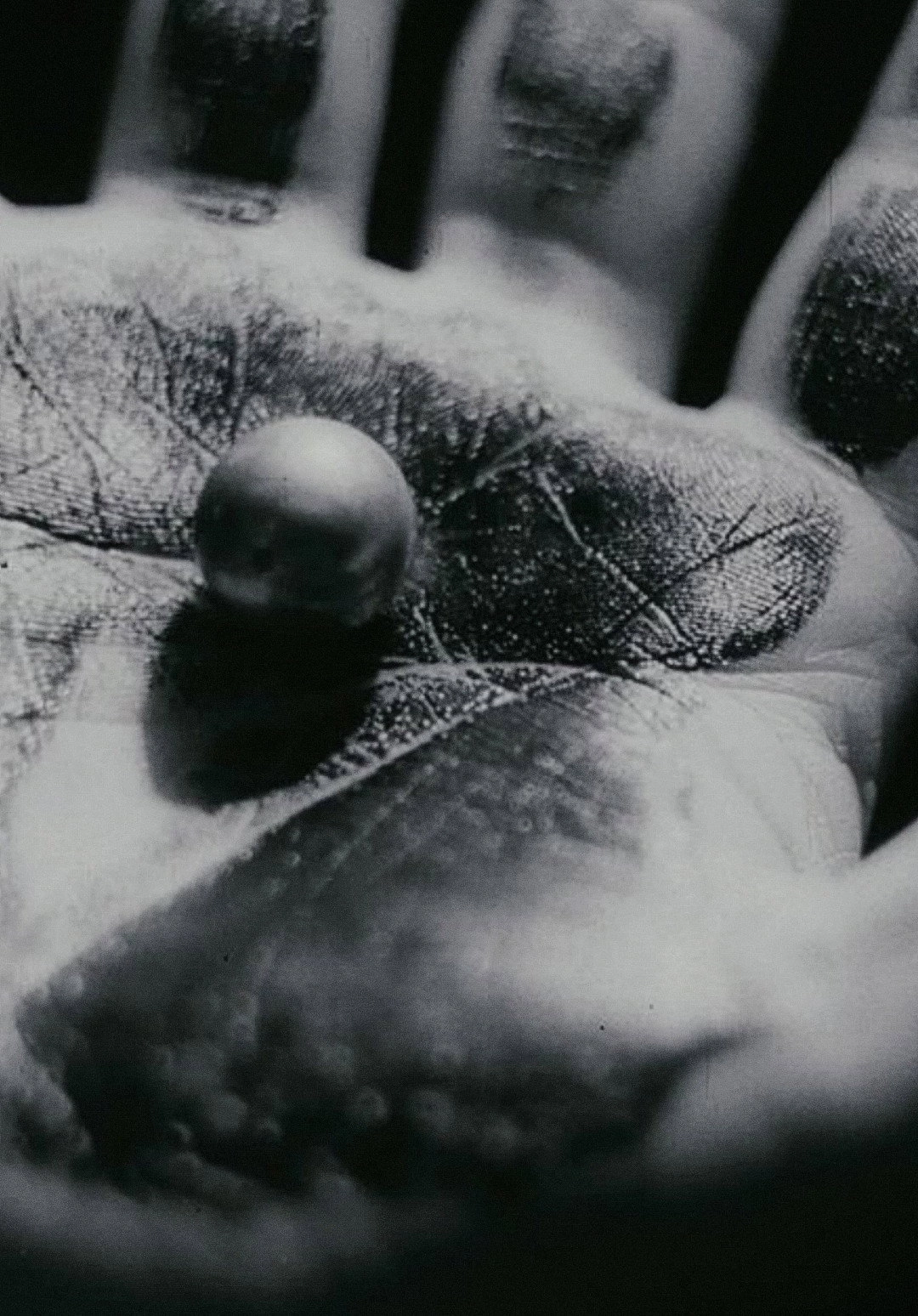 Hand
