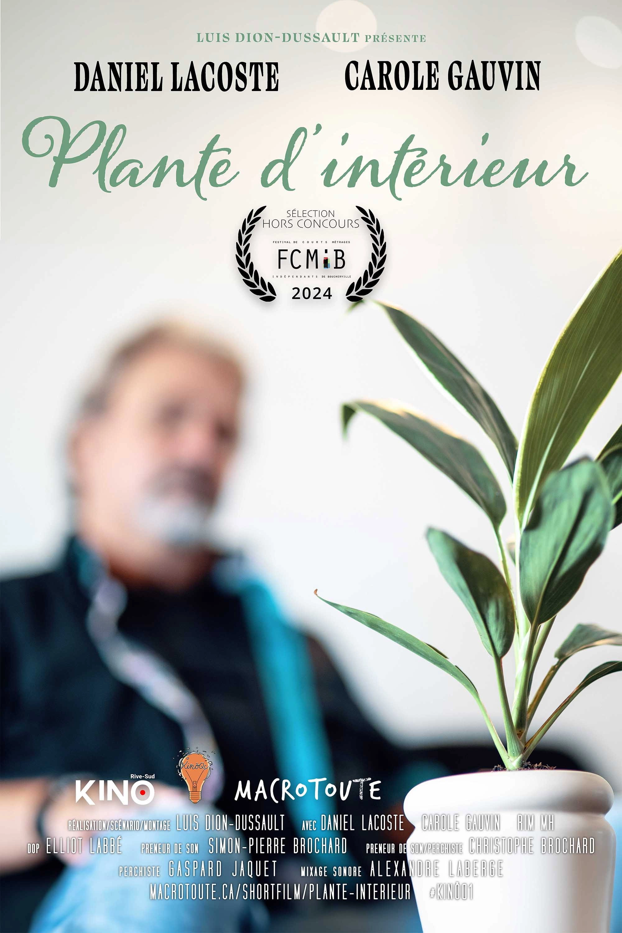 Indoor Plant