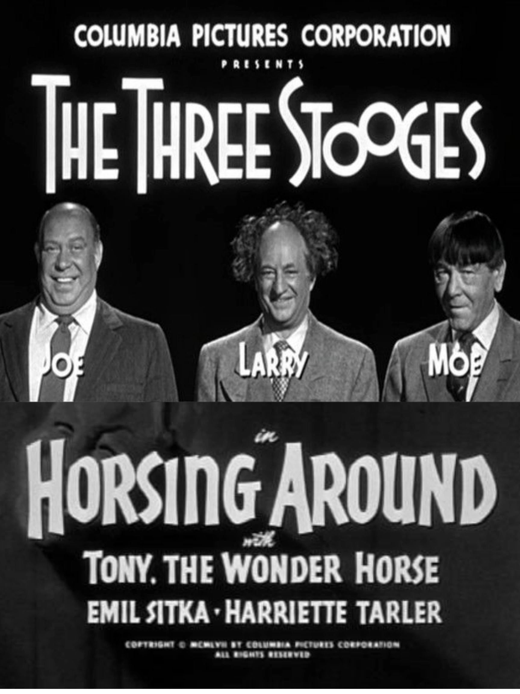 Horsing Around