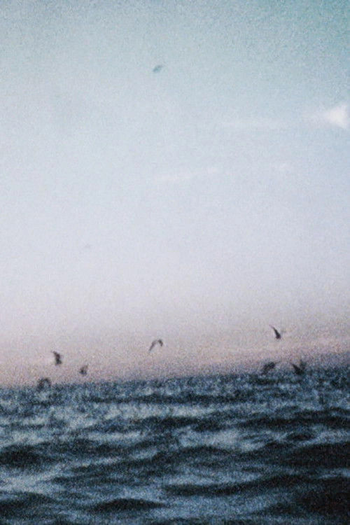 Ocean III