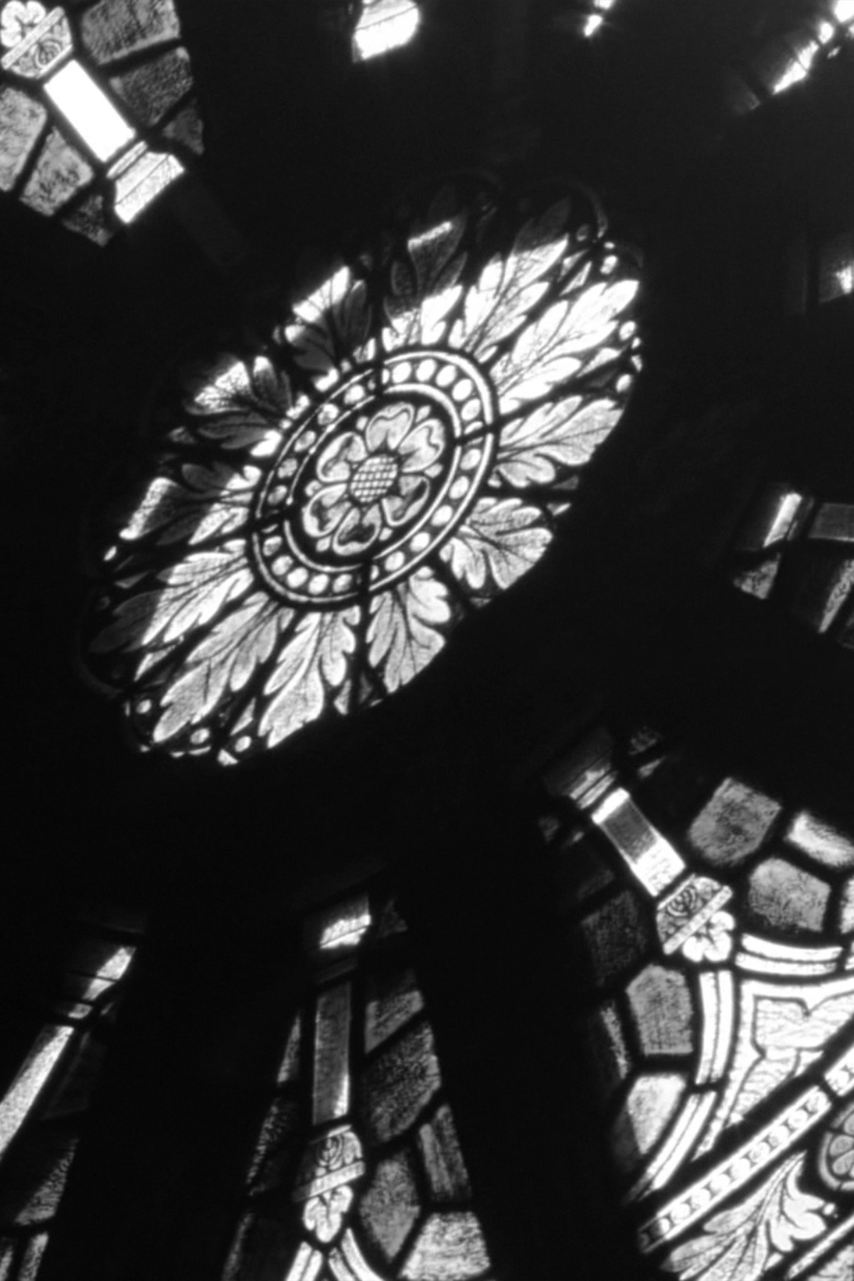 Dream Color