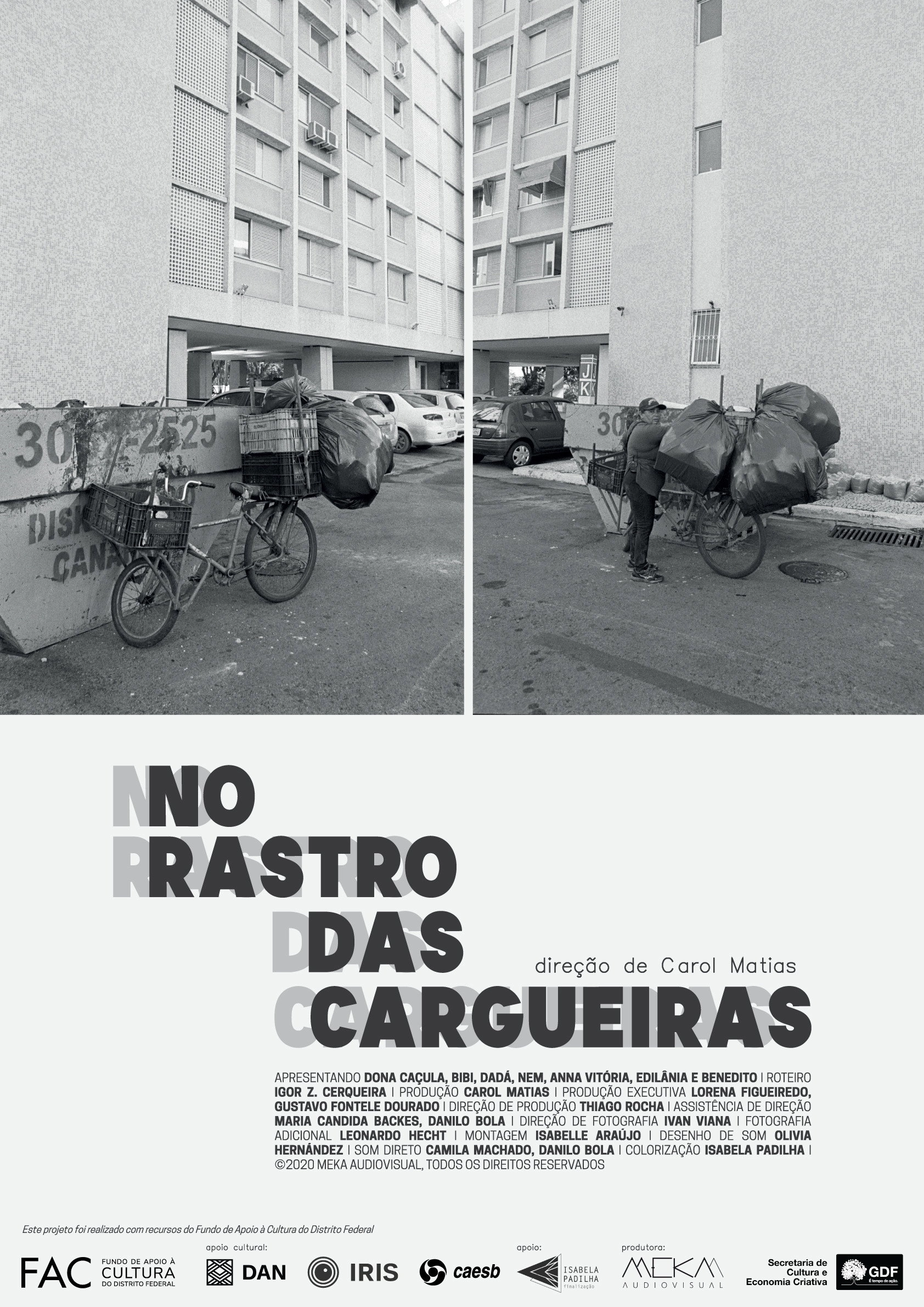 No rastro das cargueiras