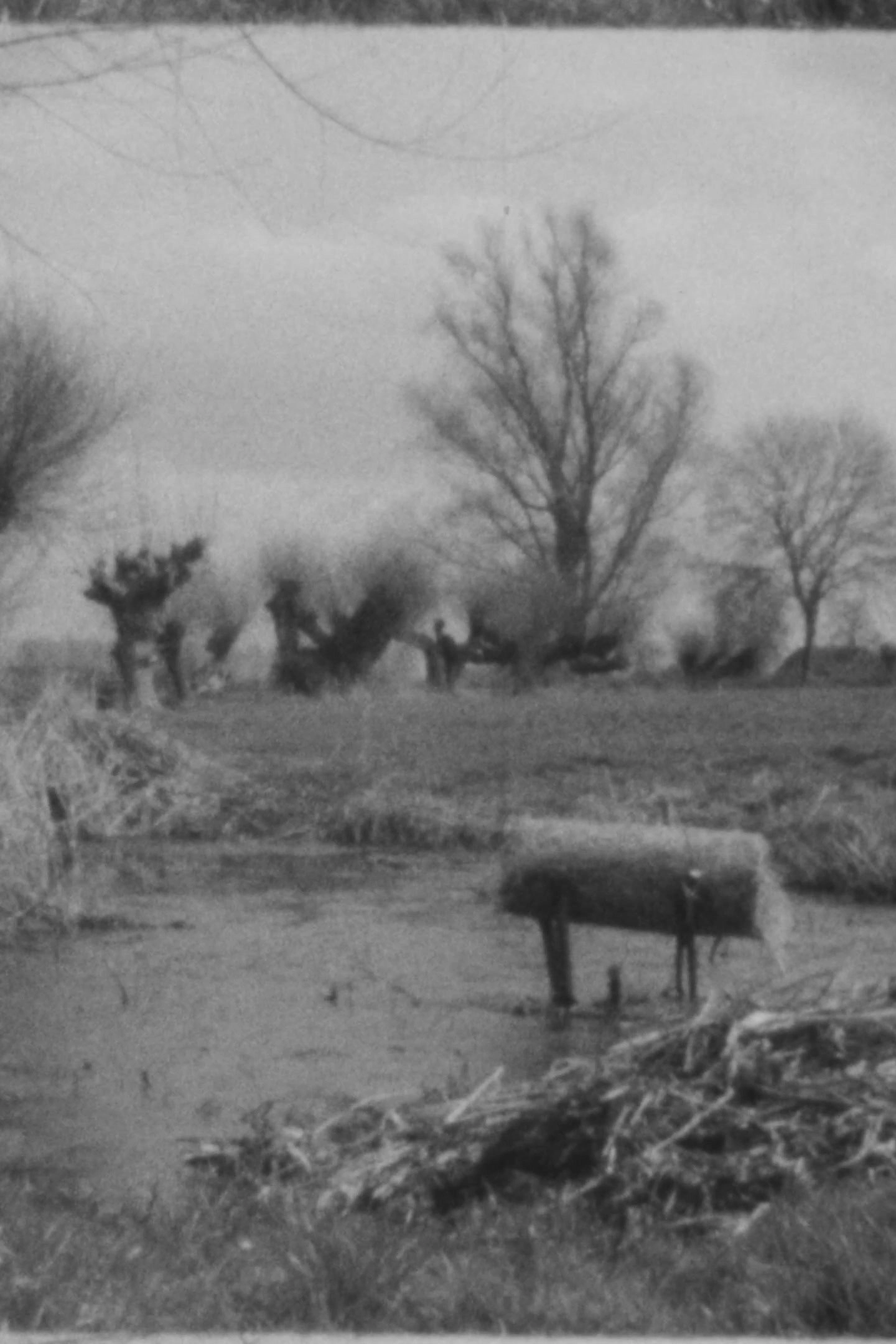 Landscape as Landscape 15