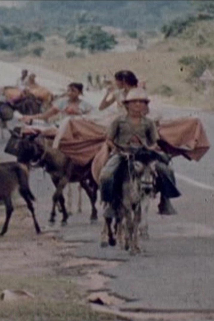 Ciganos do Nordeste
