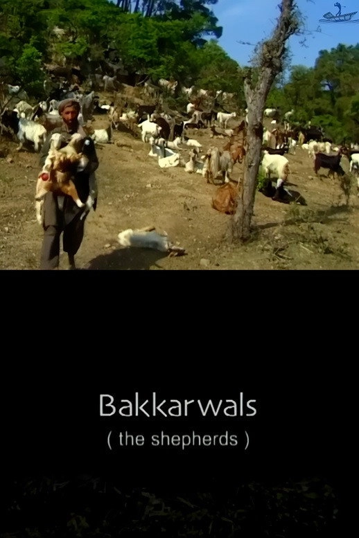 the shepherds