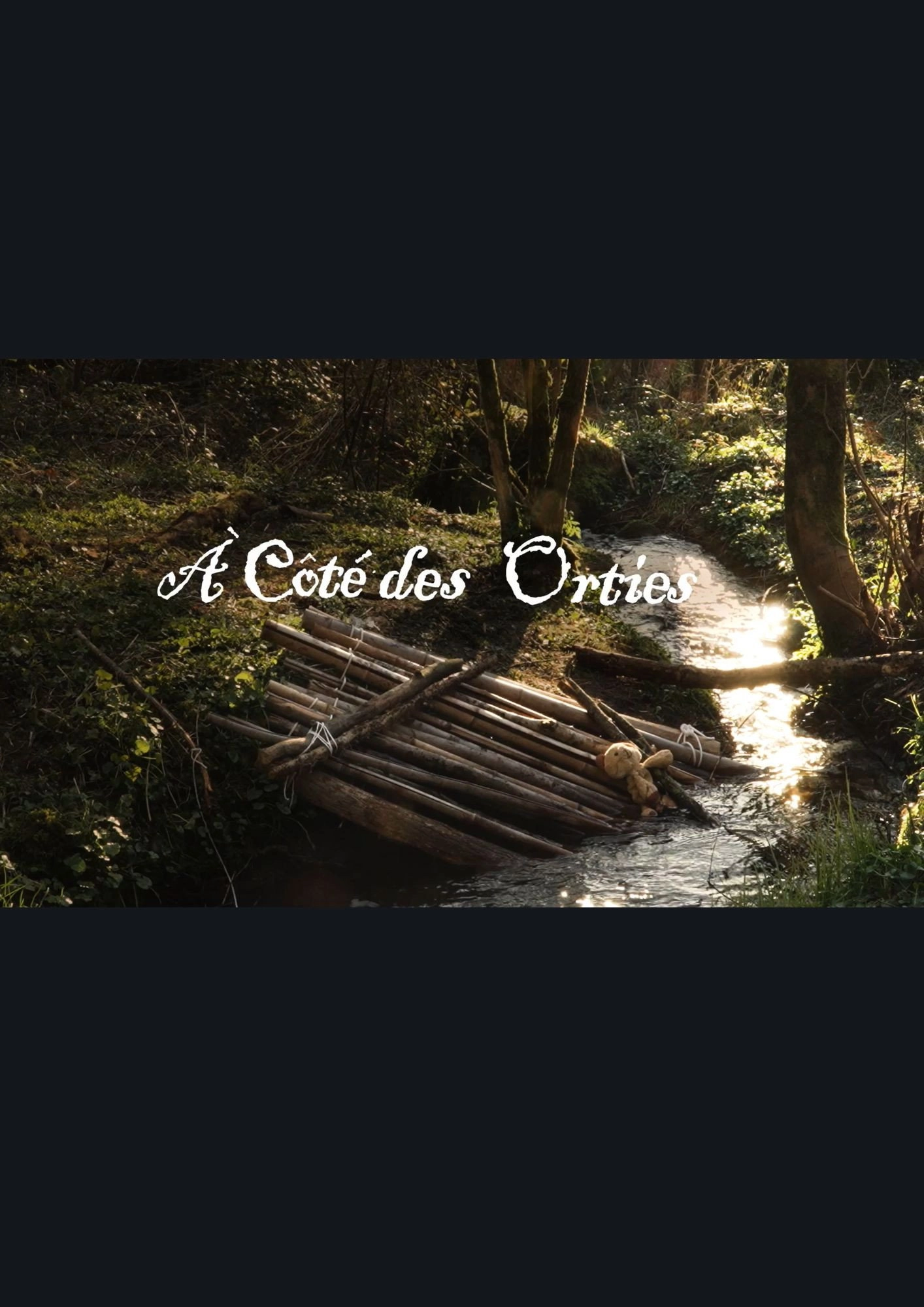A côté des orties
