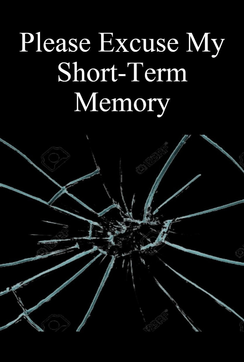 Please Excuse My Shortterm Memory