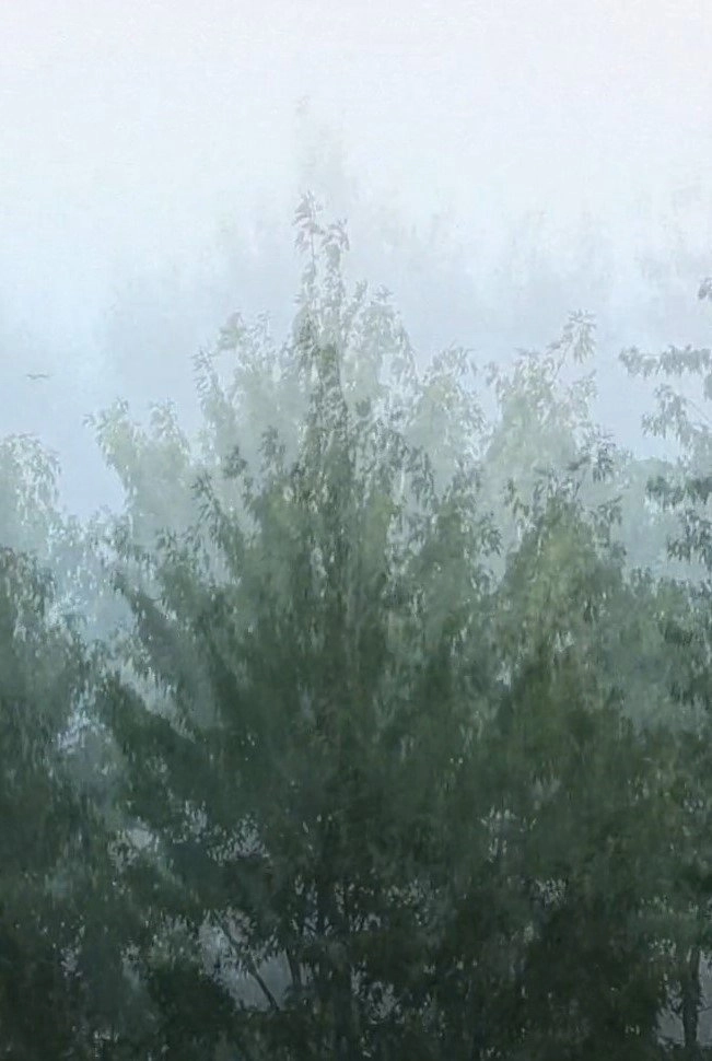 Wind