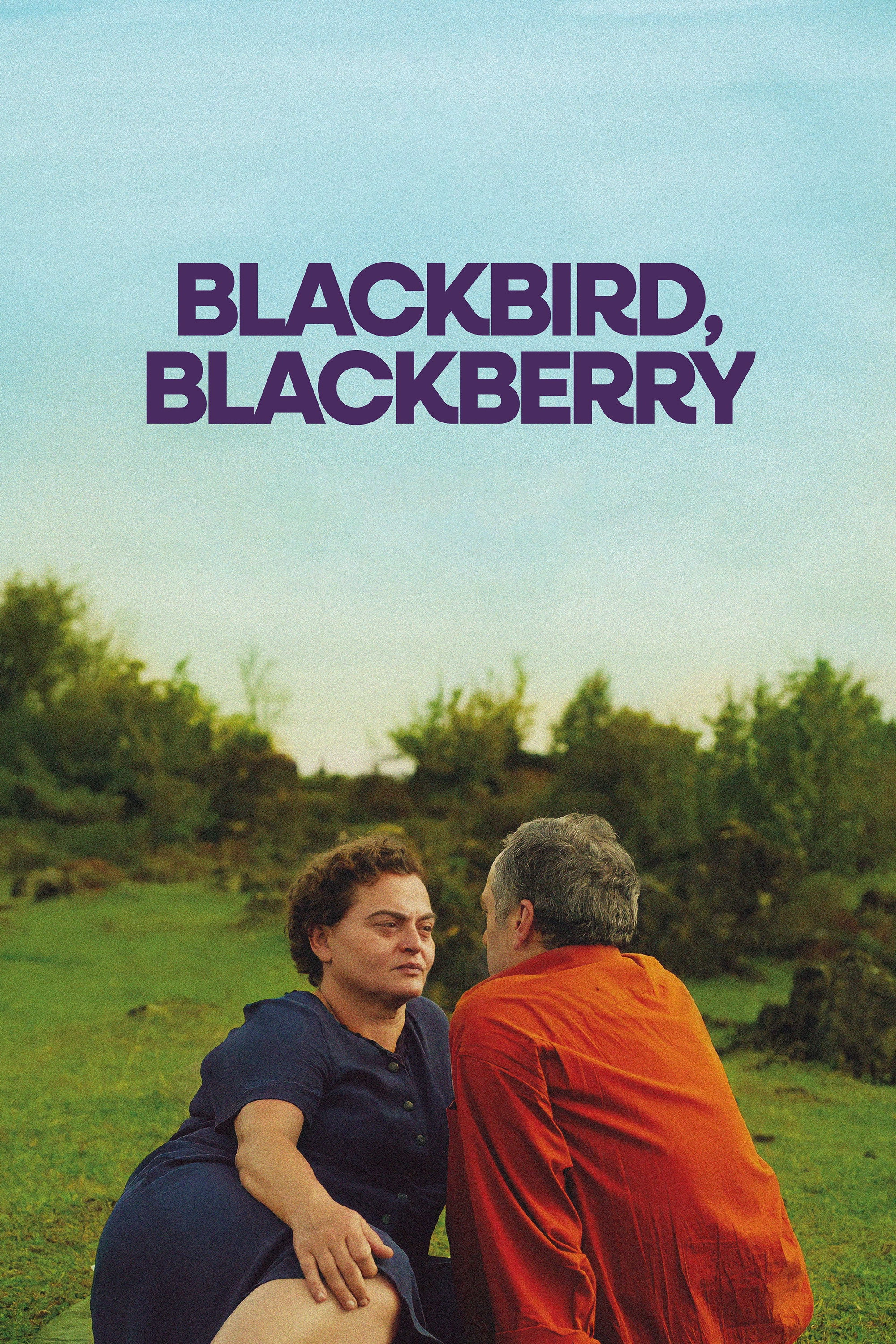 Blackbird Blackbird Blackberry