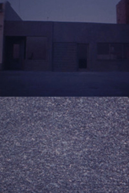Michael Brod's Whoever — In Transit