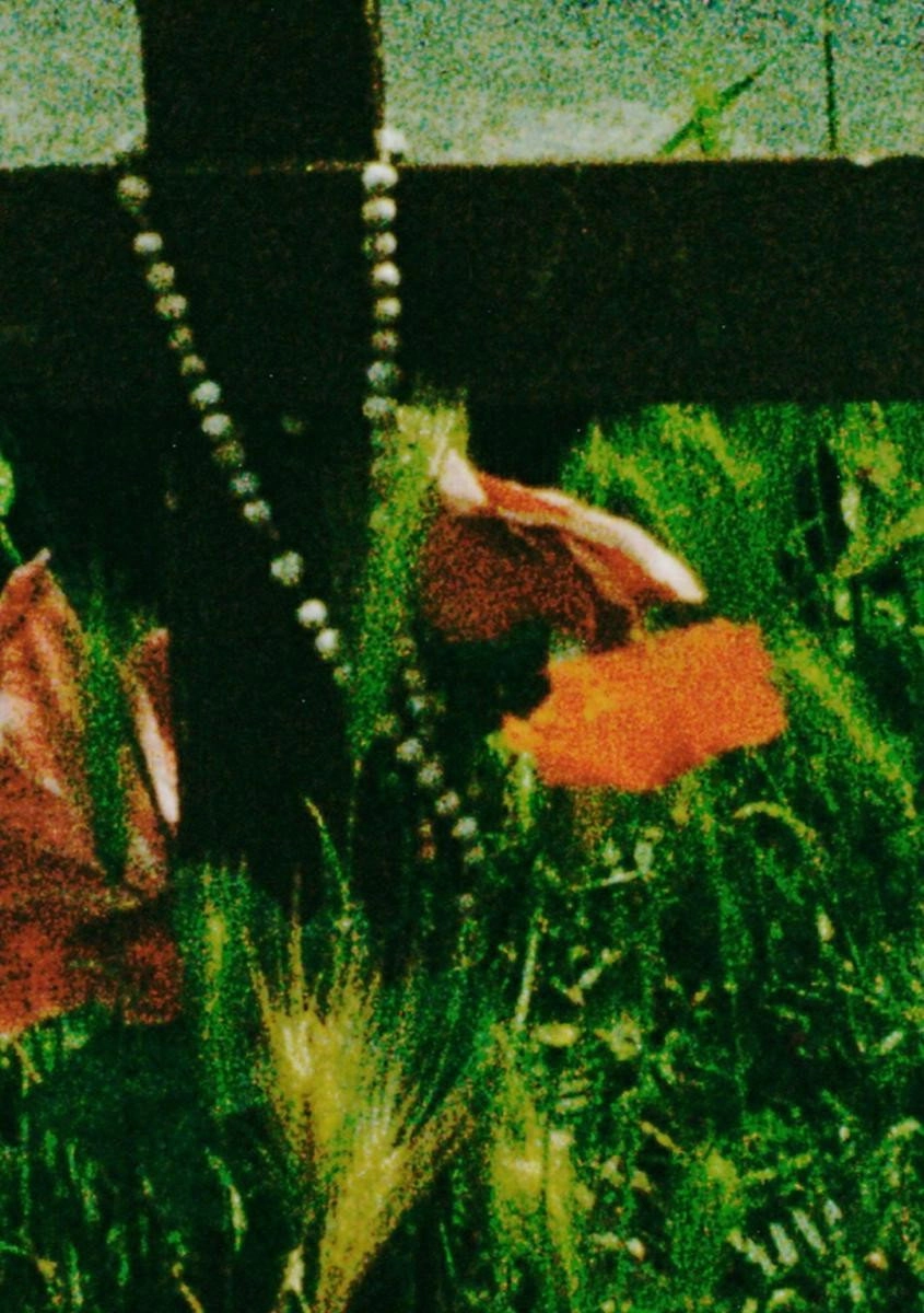 The Cradle